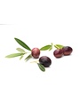 La Cerignola Di Una Volta Olives Leccino en saumure 580ml