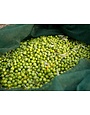 "Mandranova" EVOO Nocellara del Belice, Sicily 500ml