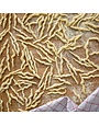 Frantoio di Sant'Agata D'Oneglia "D'Oneglia" Trofie Wheat Durum Pasta 12/500g