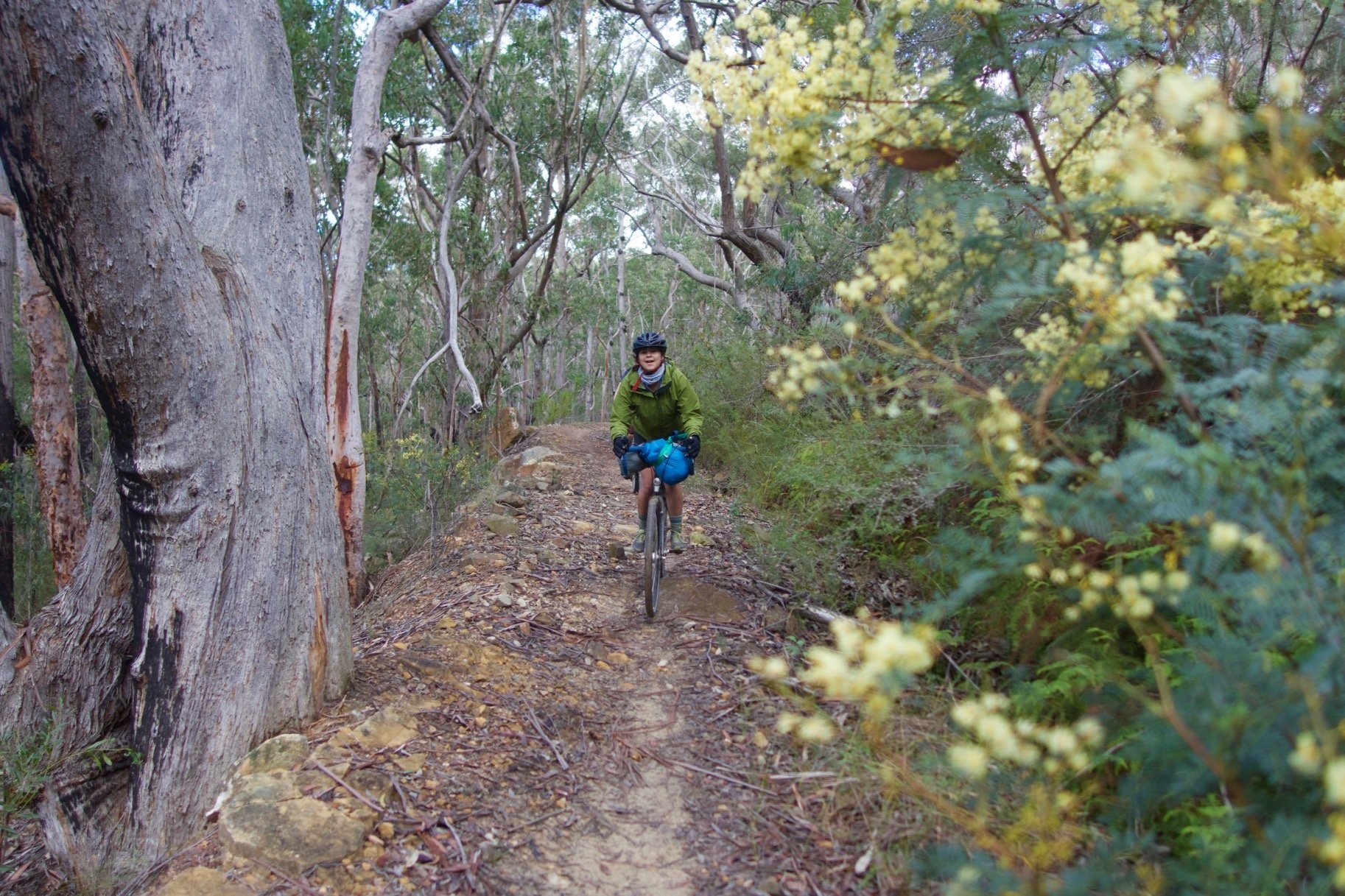 Mountains to the Coast: Mt Wilson to Ourimbah
