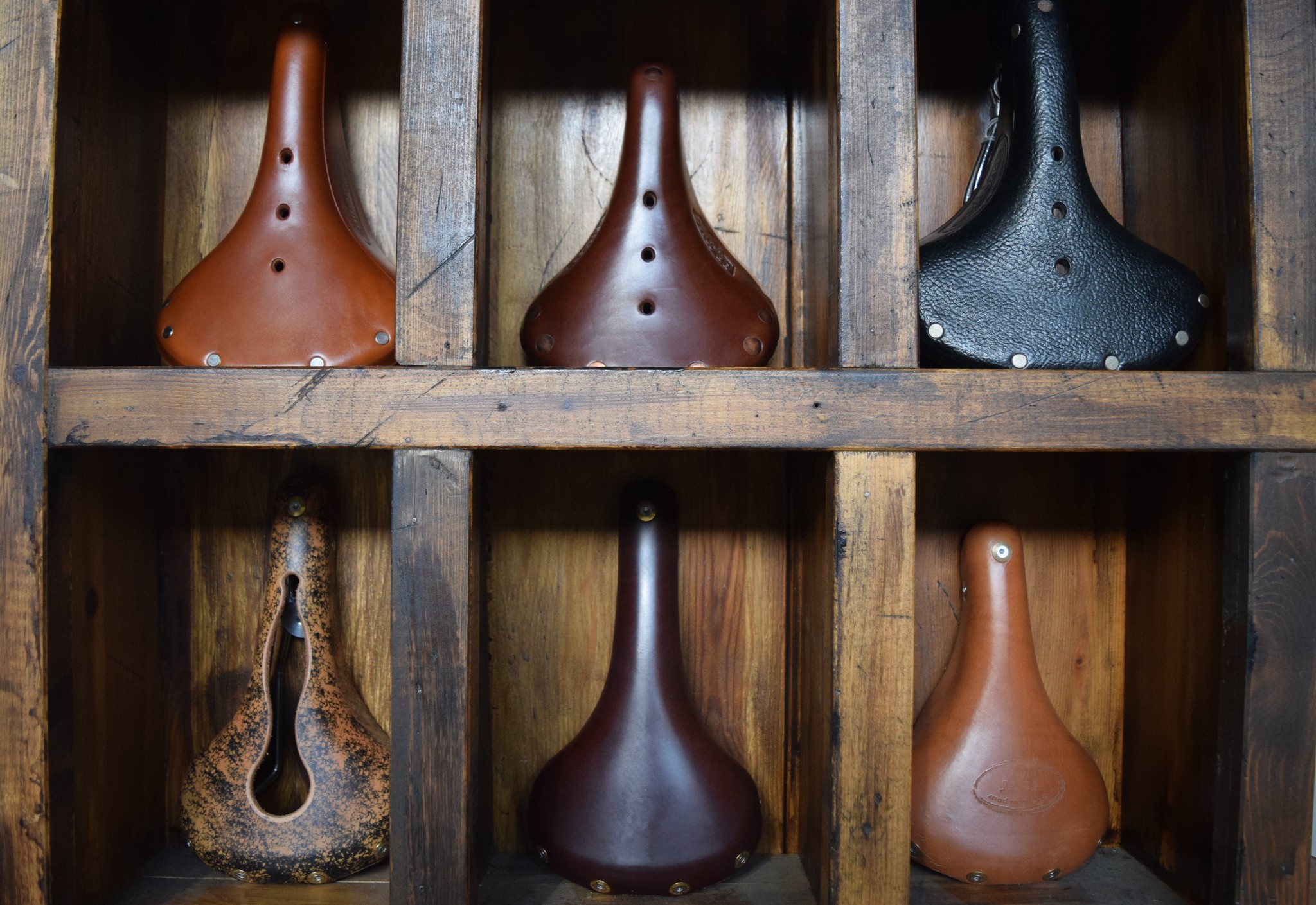 The Saddle Club Omafiets