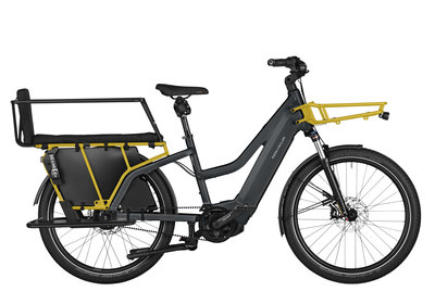 Riese \u0026 Muller - Omafiets