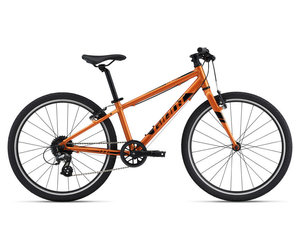 2022 Giant ARX 24\