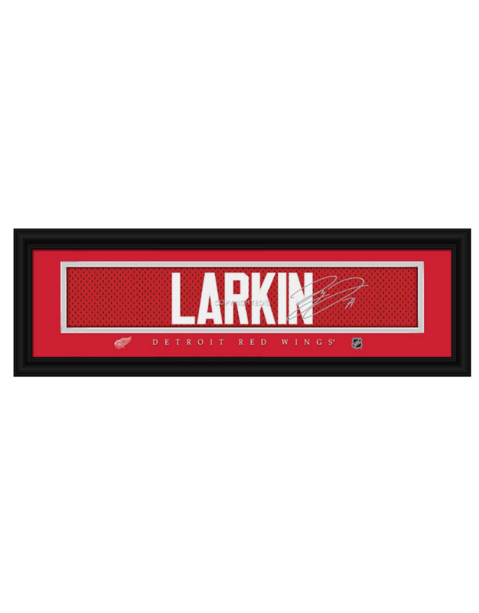 Framed Signature Nameplate Dylan Larkin Detoit Red Wings