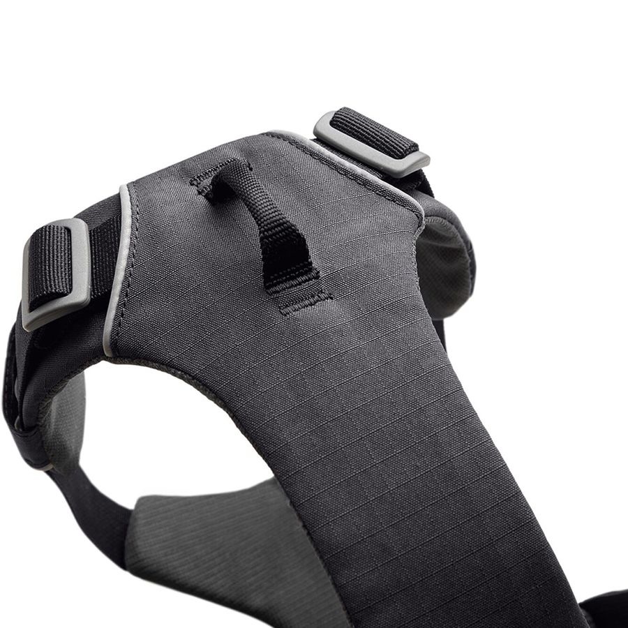 Front Range Harness Leaps & Bones