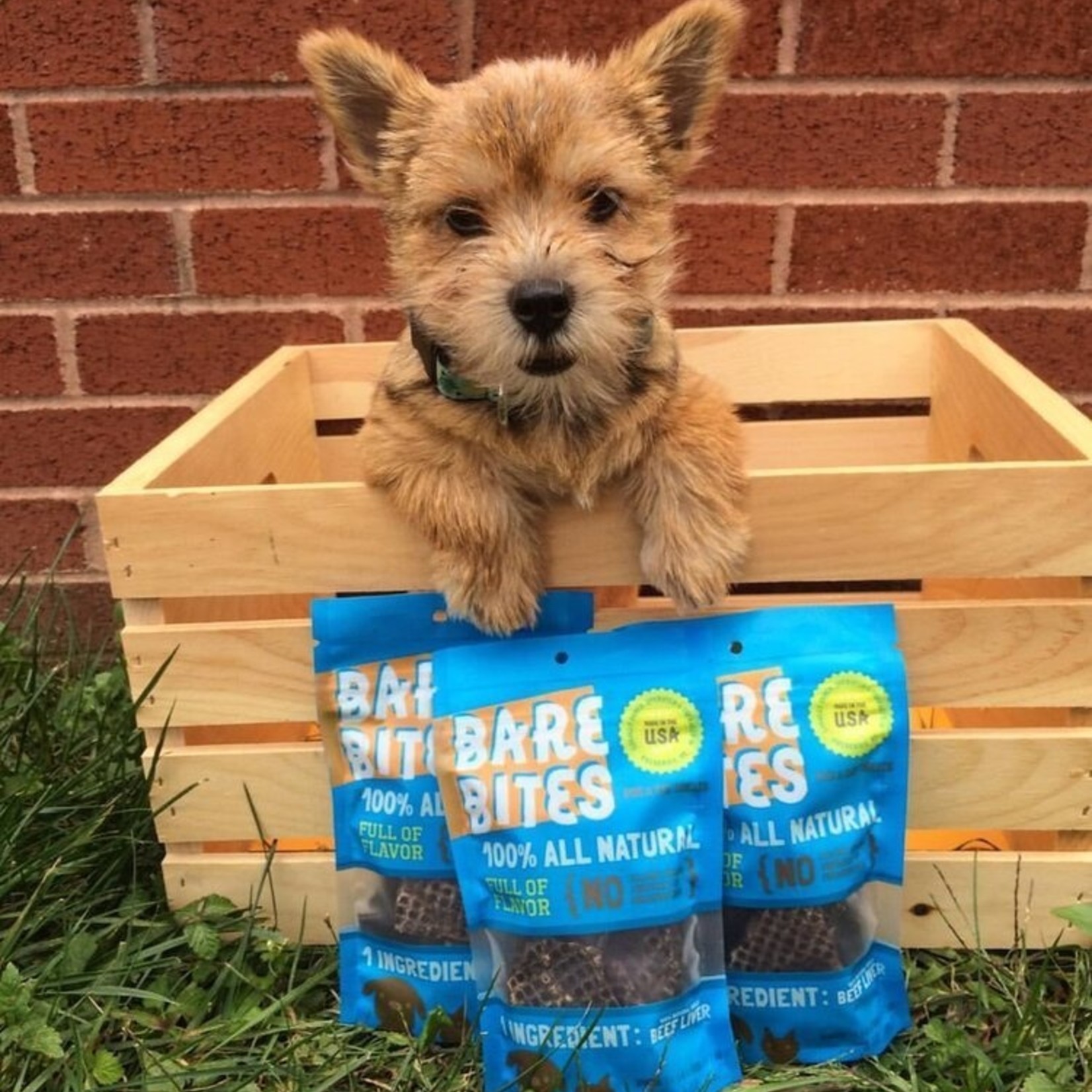 bare bites beef liver