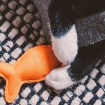 BECO Cat Toys