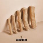 Canophera Canophera Coffee Wood Chews