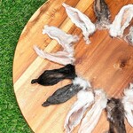 Furever Primal Furever Primal  Rabbit Ear