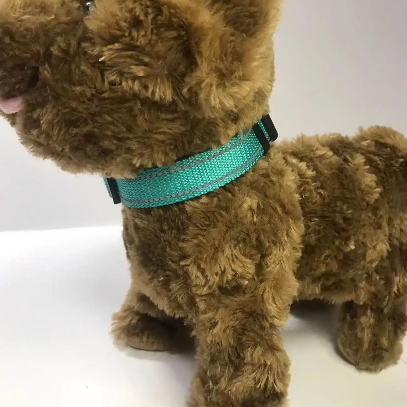 For Us Collar Leaps & Bones