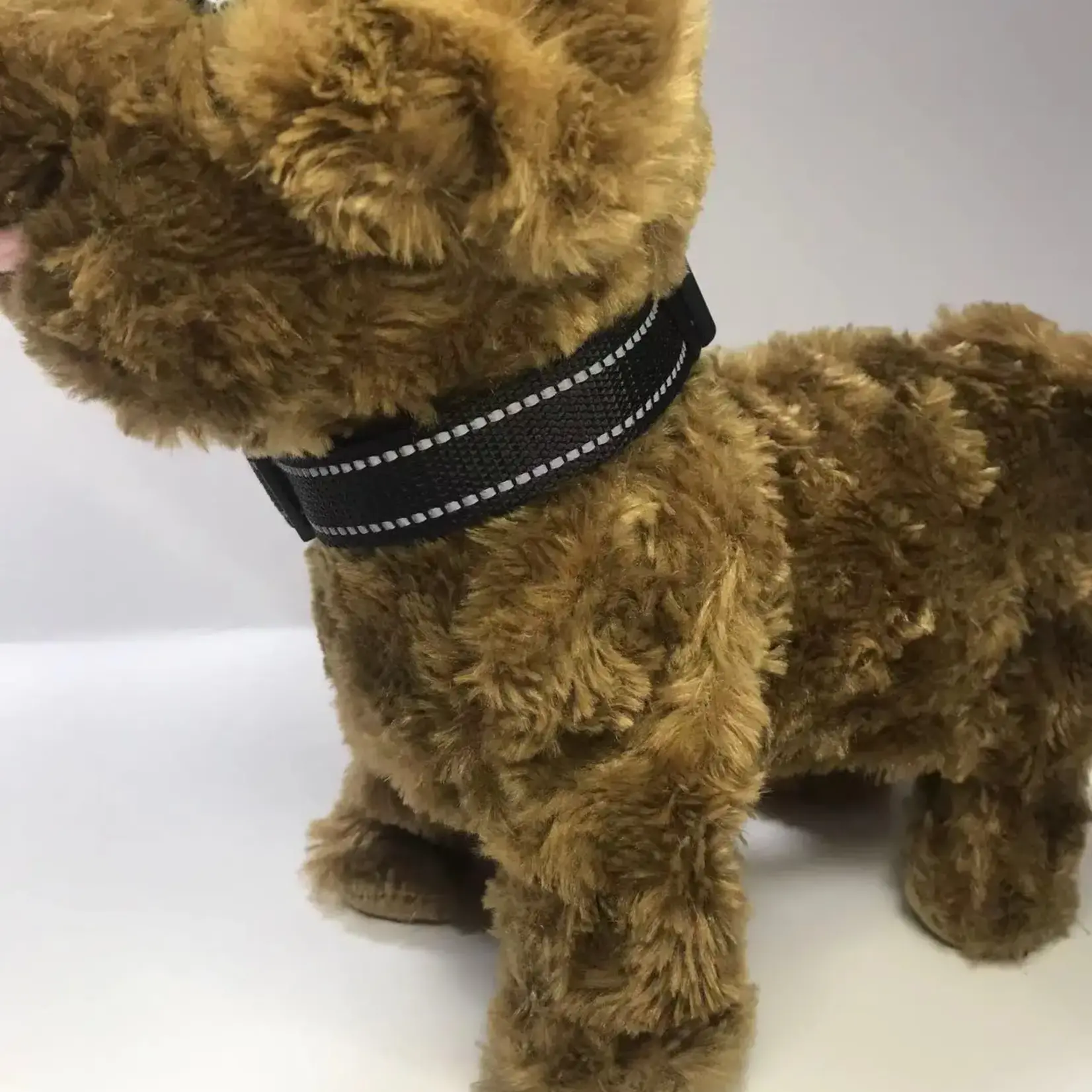 For Us Collar Leaps & Bones