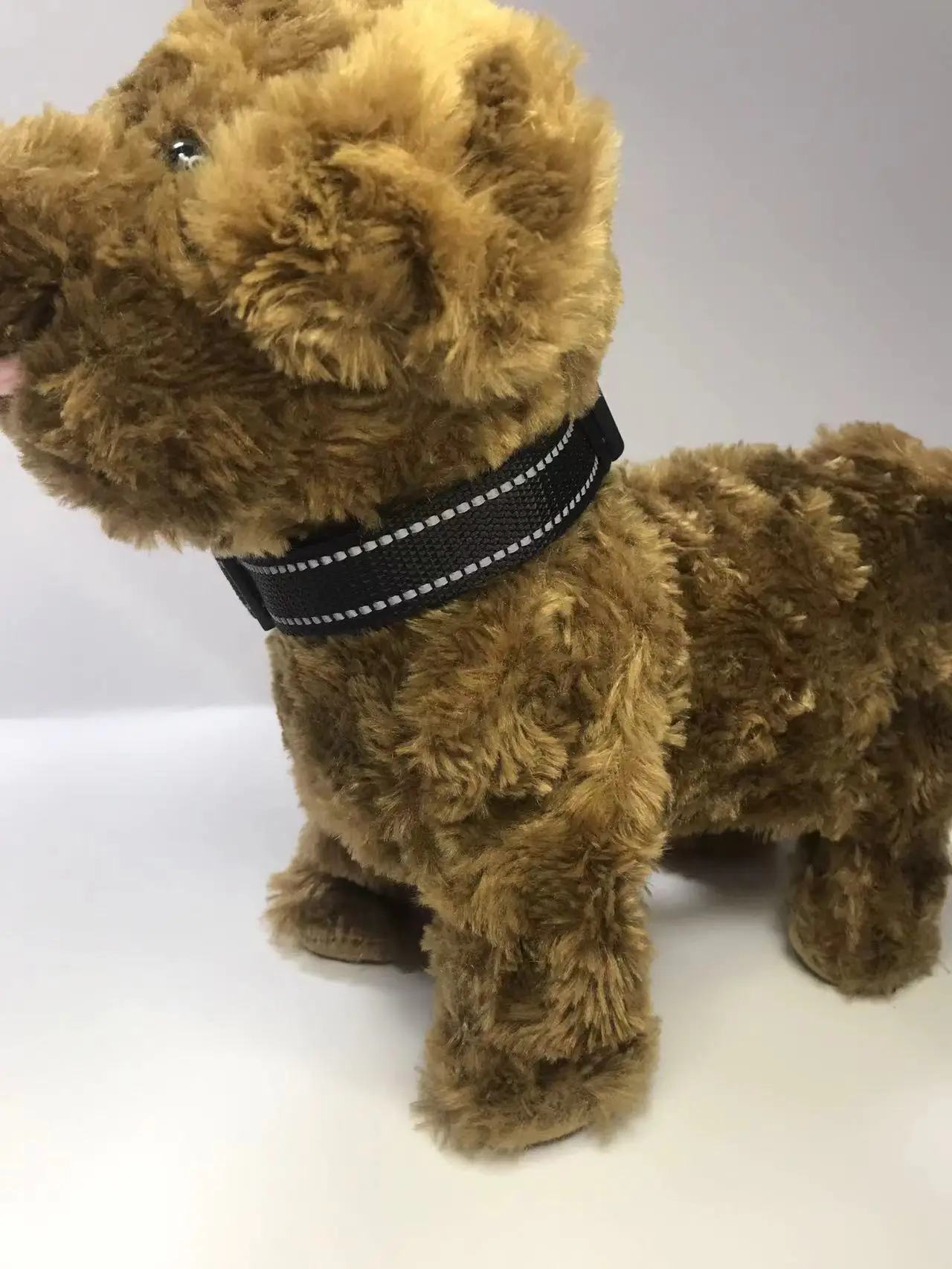 For Us Collar Leaps & Bones