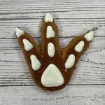 LEAPS & BONES Biscuit Jurassic Foot Fossil