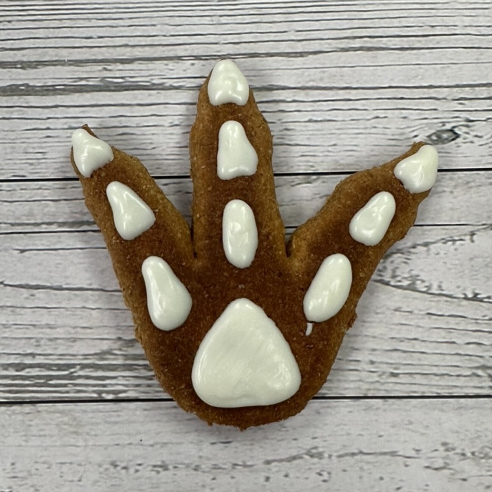 LEAPS & BONES Biscuit Jurassic Foot Fossil