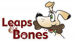 Leaps & Bones