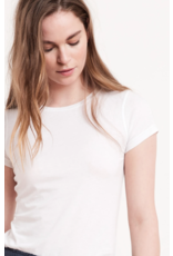 VELVET BY GRAHAM & SPENCER JEMMA TOP