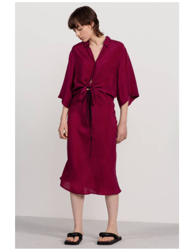 HUMANOID FELON DRESS