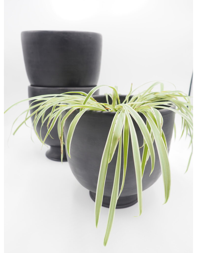 SCHWUNG HOME USA ROUND BLACK PLANT POT