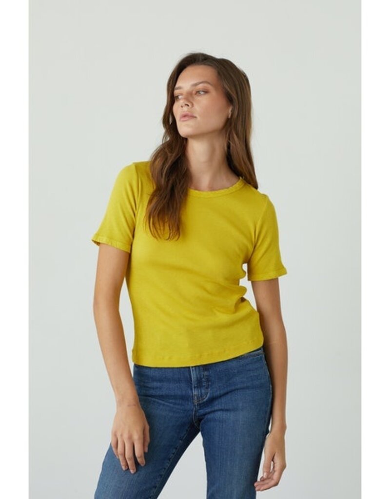 VELVET BY GRAHAM & SPENCER PIXIE TEE IN JOLT