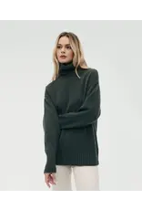 LUXE CASHMERE TURTLENECK TUNIC IN OLIVE