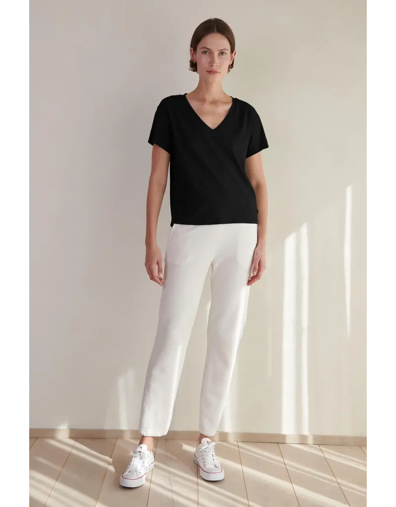 VELVET BY GRAHAM & SPENCER ZUMA PANT IN BEACH