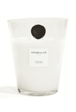 VOYAGE ET CIE POIVRE NOIR 9" FRENCH CUT VASE