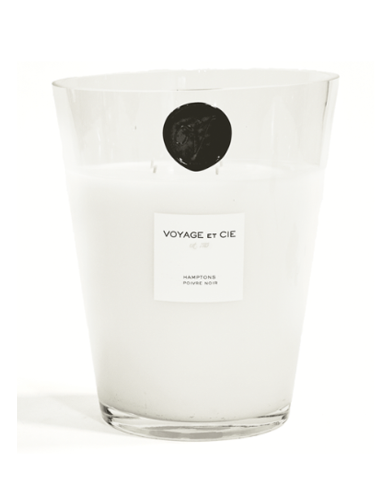 VOYAGE ET CIE POIVRE NOIR 9" FRENCH CUT VASE