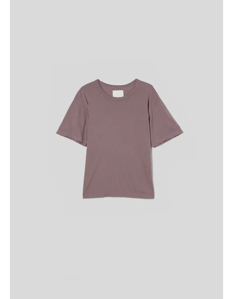 CITIZENS OF HUMANITY ELISABETTA RELAXED TEE IN TAUPE
