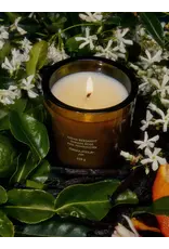 FLAMINGO ESTATE NIGHT BLOOMING JASMINE AND DAMASK ROSE CANDLE