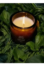 FLAMINGO ESTATE ANCIENT AGRIGENTO OLIVE TREE CANDLE