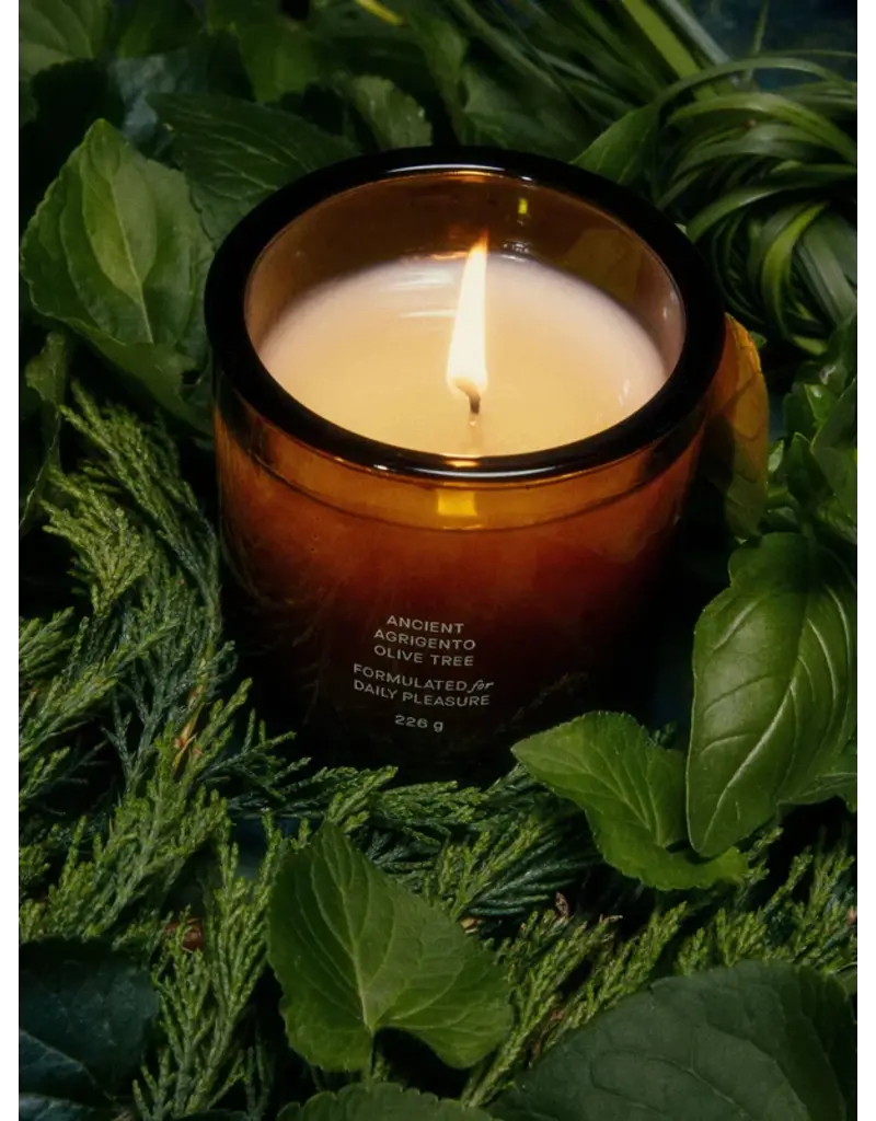 FLAMINGO ESTATE ANCIENT AGRIGENTO OLIVE TREE CANDLE