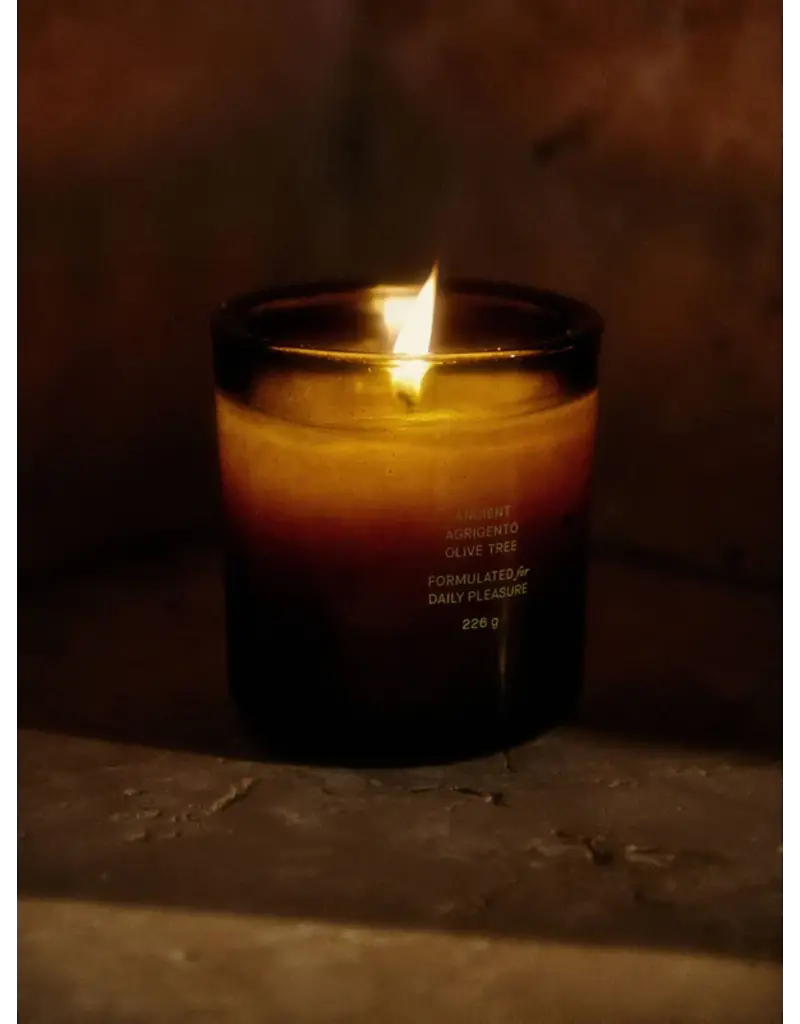 FLAMINGO ESTATE ANCIENT AGRIGENTO OLIVE TREE CANDLE