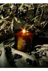 FLAMINGO ESTATE ANCIENT AGRIGENTO OLIVE TREE CANDLE