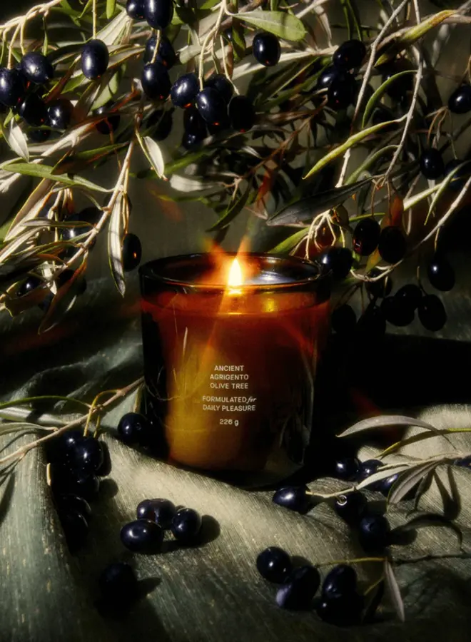 ANCIENT AGRIGENTO OLIVE TREE CANDLE