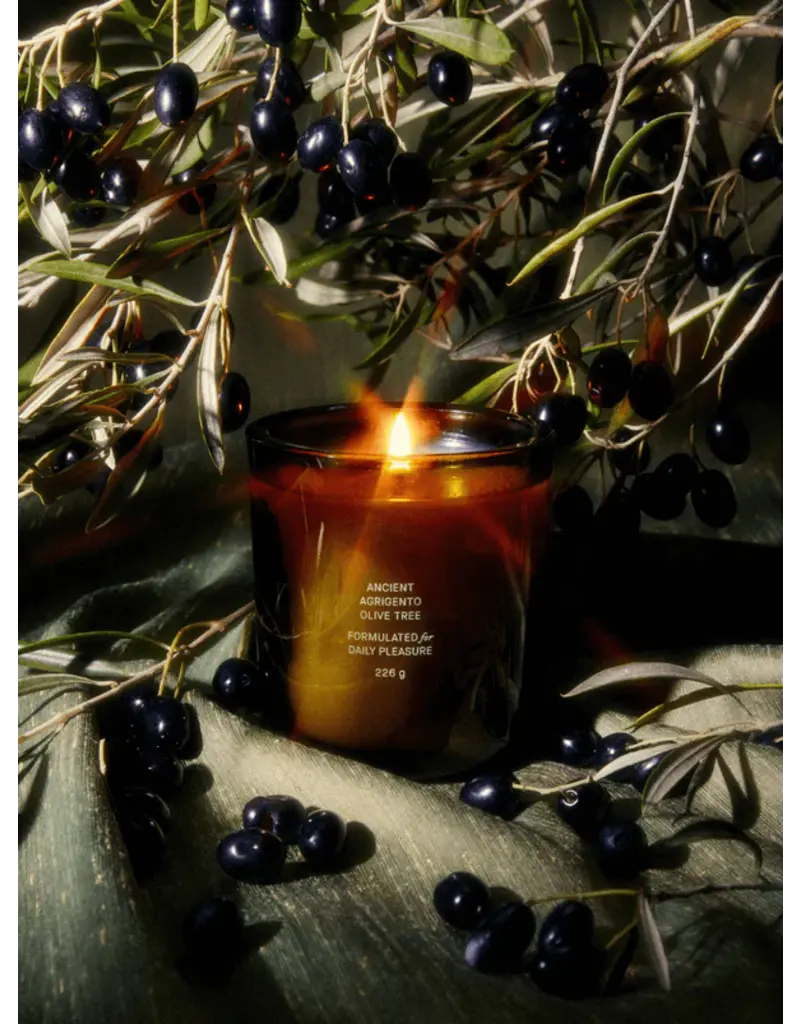 FLAMINGO ESTATE ANCIENT AGRIGENTO OLIVE TREE CANDLE