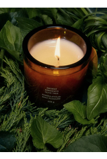 FLAMINGO ESTATE ANCIENT AGRIGENTO OLIVE TREE CANDLE