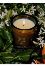 FLAMINGO ESTATE NIGHT BLOOMING JASMINE AND DAMASK ROSE CANDLE