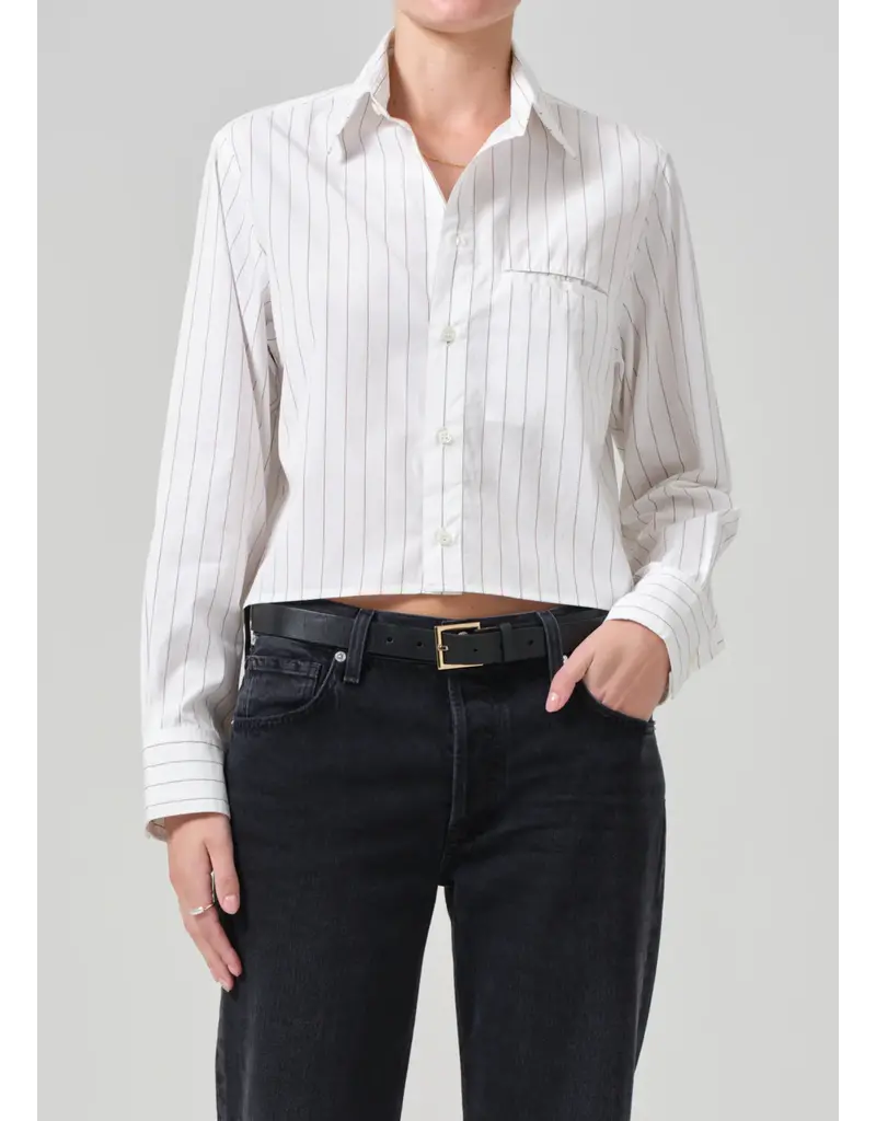 CITIZENS OF HUMANITY FINO CROPPED SHIRT IN CLOVE STRIPE