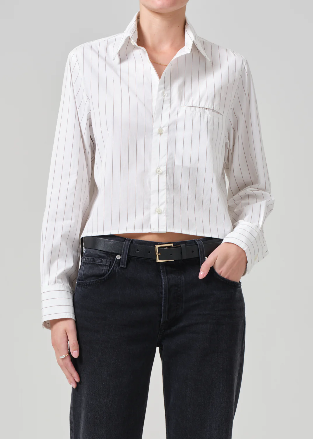 CITIZENS OF HUMANITY FINO CROPPED SHIRT IN CLOVE STRIPE