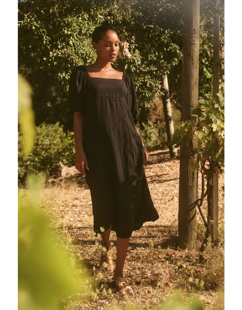 VELVET BY GRAHAM & SPENCER BROOKE DRESS IN BLACK