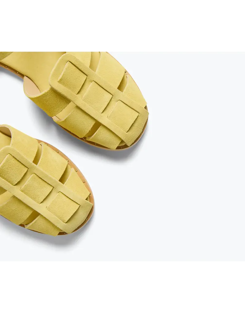 FREDA SALVADOR SERA FISHERMAN SANDAL IN LIMON SUEDE