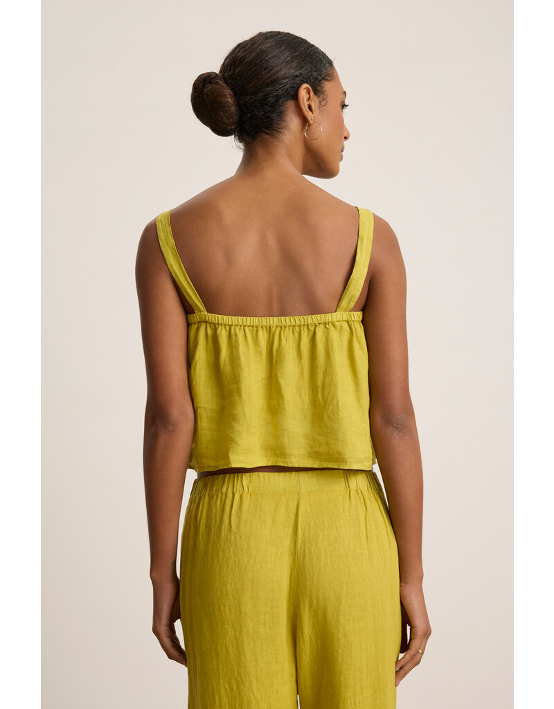 VELVET BY GRAHAM & SPENCER QUIN BUTTON TOP IN DANDELION
