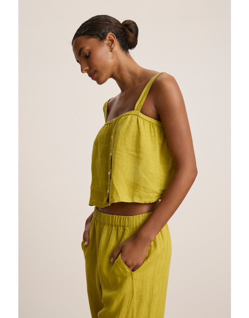VELVET BY GRAHAM & SPENCER QUIN BUTTON TOP IN DANDELION