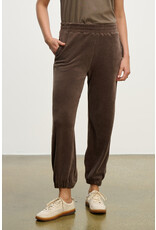 VELVET BY GRAHAM & SPENCER ESSIE SWEATPANT IN CHOCOLATE VELVET BY GRAHAM & SPENCER ESSIE SWEATPANT IN CHOCOLATE