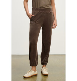 VELVET BY GRAHAM & SPENCER ESSIE SWEATPANT IN CHOCOLATE