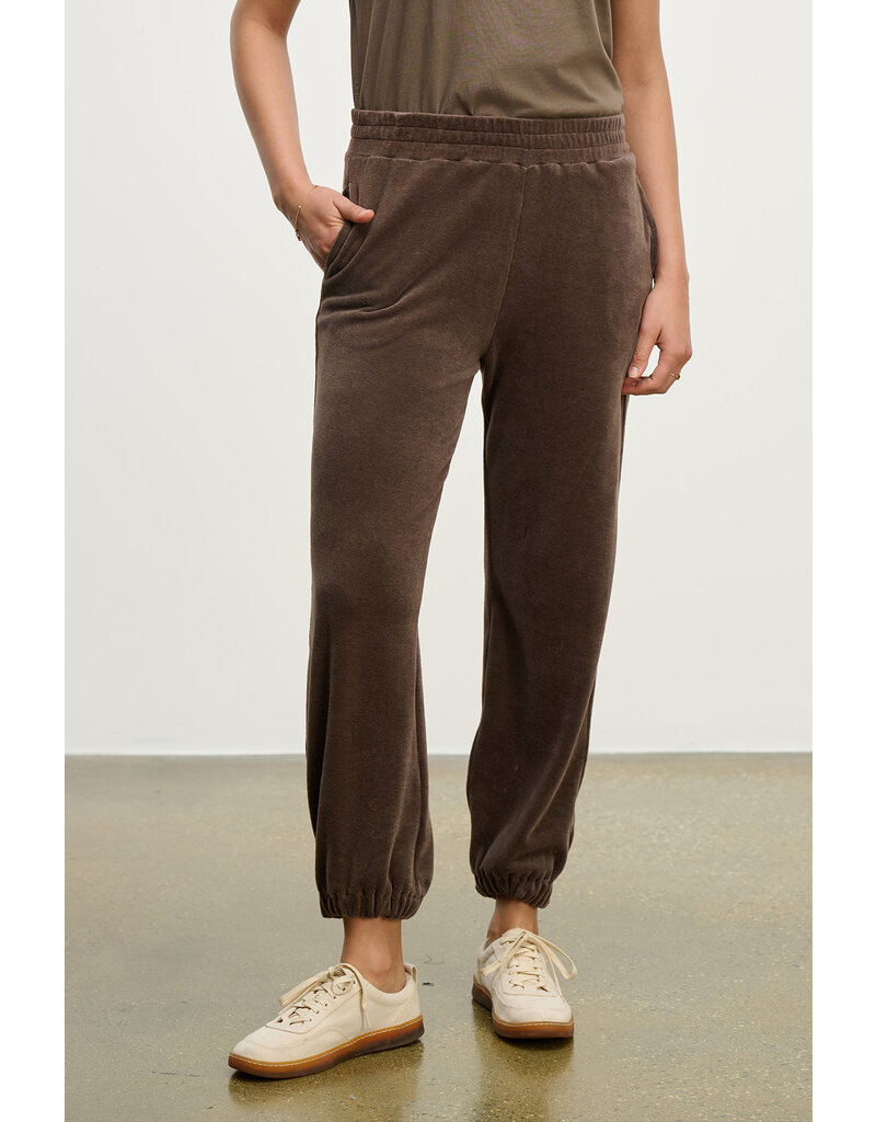 VELVET BY GRAHAM & SPENCER ESSIE SWEATPANT IN CHOCOLATE