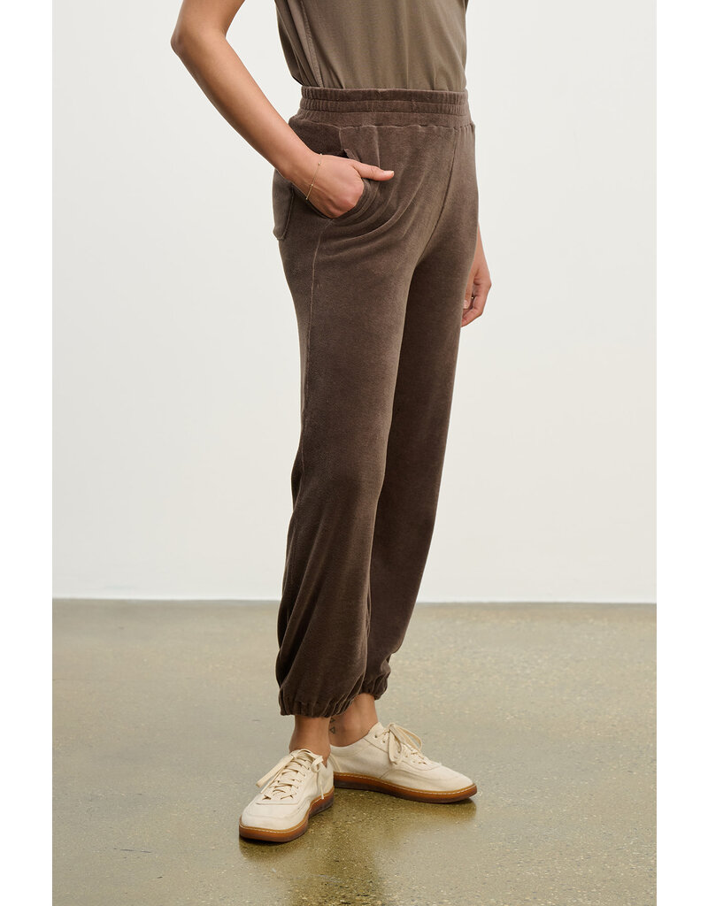 VELVET BY GRAHAM & SPENCER ESSIE SWEATPANT IN CHOCOLATE