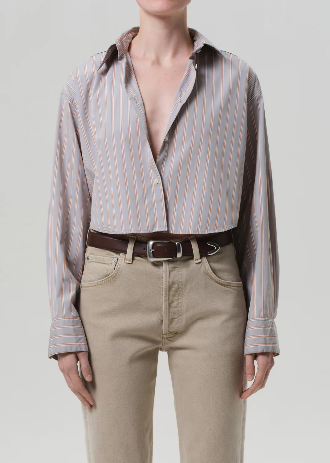 CITIZENS OF HUMANITY ANA CROPPED SHIRT IN NOBLE STRIPE