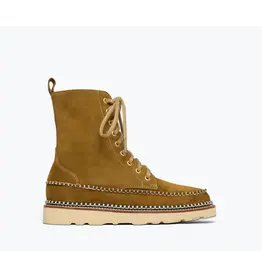 FREDA SALVADOR LILLY LACE UP BOOT IN BOG SUEDE