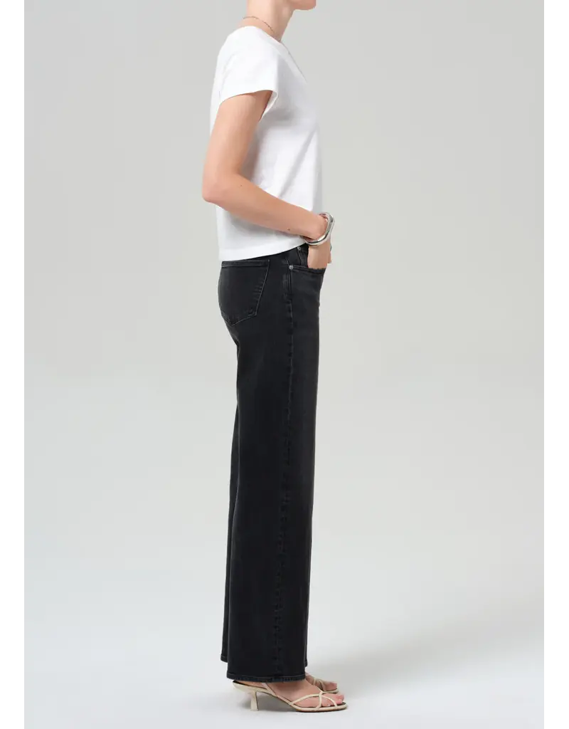 CITIZENS OF HUMANITY NORA TROUSER LEG IN CAT EYE